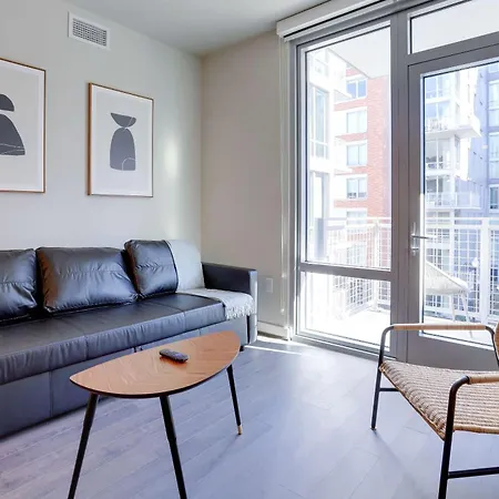 Experience Comfort And Style At Clarendon